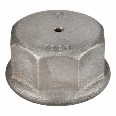 CAMPBELL Drive Cap: Drive Cap, Cast Iron - Well Point Drive Caps