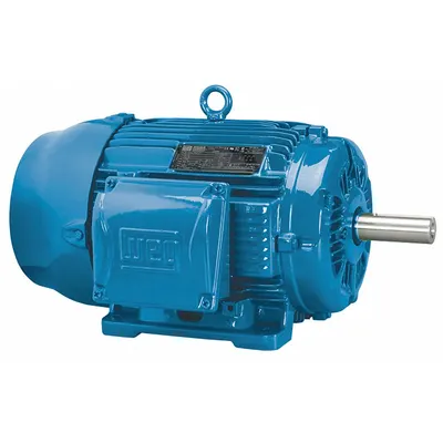 WEG General Purpose Motor: Rigid Base Mount, Totally Enclosed Fan Cooled, 1 hp - Rigid Base 3-Phase General Purpose AC Motors