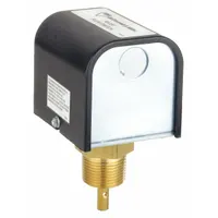 MCDONNELL & MILLER General Purpose Switch: Paddle, 1 in/6 in For Pipe Size, Brass, 1 in NPT, NPT (MPN FS251)