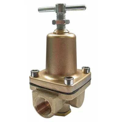 OEM Pressure Regulator: FNPT x FNPT - Standard Capacity Water Pressure Regulators
