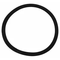 NILFISK Filter Rubber Gasket: Nilfisk, For Shop Vacuum Vacuum Type, Z8 17025