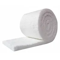 Ceramic Fiber Insulation: Aluminum Silicate, 25 ft Lg, 24 in W, 1 in Thick, 37 lb Wt, 0.75 R-Value (MPN CF8HZ-1-24X25)