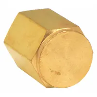 PARKER Cap: Cored Cap, Bright C36000 Brass, 1/4 in, NPT Threaded, 4,300 psi, 29/32 in Lg (MPN 4 CP-B)