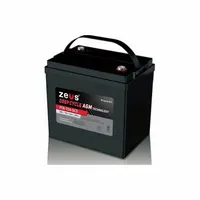 ZEUS BATTERY PRODUCTS Sealed Lead Acid Batteries: 6V DC, 224 Ah Capacity, 9.72 in Ht, 7.09 in Wd, M8 (MPN PC6-224-GC2)