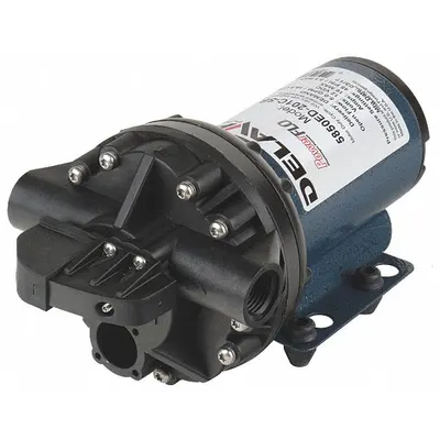 DELAVAN AG PUMPS Diaphragm Pump: Electric, 5850ED-201C-SB, Demand Pressure Switch - On-Demand Electric Sprayer Pumps