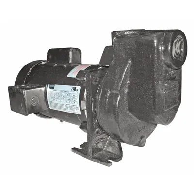 Dayton Centrifugal Pump: 115/208-230V AC, 50 ft Max Head - 1/8 to 1 HP Self-Priming Centrifugal Pumps