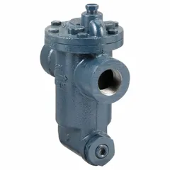 Cast-iron inverted-bucket steam trap with 1-inch FNPT connection, rated for 750 lb/hr capacity and 250 psi maximum pressure. In-line configuration for horizontal installation. Built-in strainer included. Used to drain condensate from steam lines while preventing steam loss in industrial steam systems.