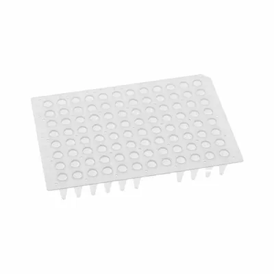 MTC BIO Well Plate: Non-Sterile, 96 Wells, 0.2 mL, 6 mm Dia, RNase/DNase Free - PCR Plates