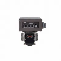 Positive Displacement Flowmeter,2 in Sz (MPN TS20AV04ALCBMXAXXN)