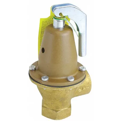 Watts Pressure Relief Valve: FNPTF x FNPTF, 1 1/4 in x 1 1/4 in - ASME Section XIII Hot Water Pressure Relief Valves