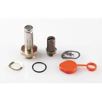 ASCO Valve Rebuild Kit (MPN 302068)