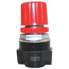 Reducer fitting for pneumatic systems, used to connect and transition between different pipe or hose sizes. Ensures proper airflow and compatibility in air compressor setups.