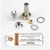 ASCO Valve Rebuild Kit (MPN 304063)