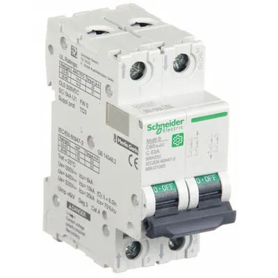 SCHNEIDER Supplementary Protector: 63 A Amps, 500V DC, 5kA at 250V DC, Screw Clamp - DC-Only Rated, 2-Pole UL1077 DIN Rail-Mount Supplementary Protectors