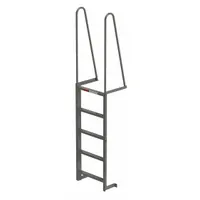 APPROVED VENDOR Fixed Ladder: 5 ft Overall Ht, 28.4 in Overall Wd, Steel, 300 lb Load Capacity (MPN MDT05)