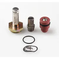 ASCO Valve Rebuild Kit (MPN 302275)