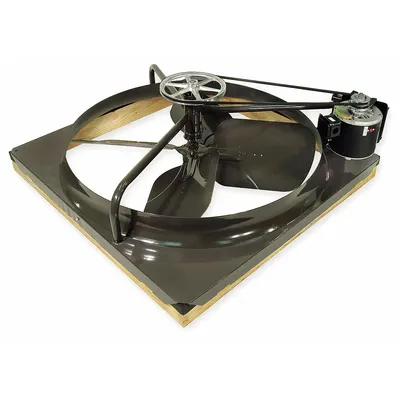 Dayton Whole House Fan: Ceiling Mount, 24 in Blade, 5,600 cfm Max., 800 sq ft Coverage - Ceiling-Mount Whole House Fans