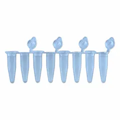 APPROVED VENDOR PCR Strip, Polypropylene, 0.2 mL, Blue, Conical Bottom, Attached Flat Caps (P3010-A-B)