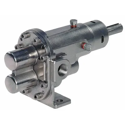 Dayton Rotary Gear Pump Head: Magnetic Drive, Stainless Steel Body, 1/2" FNPT - Pedestal-Mount Rotary Gear Pumps