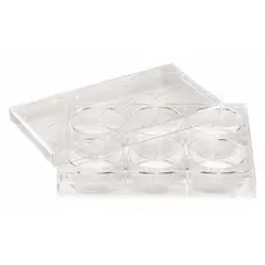 Cell Culture Plate, 12-Well, 1.14 mL, 128 mm, Polystyrene, Colorless, RNase/DNase Free