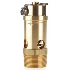 Soft seat pneumatic safety valve with brass body and silicone seal. Features 1 1/4 in male NPT inlet and preset opening at 250 psi. Used to protect compressed air systems, air receivers, and pneumatic piping from overpressure.