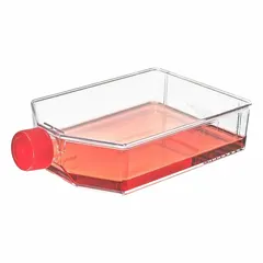 APPROVED VENDOR Plastic Cell Culture Flask, Polystyrene, 200 mL, Sterile, Graduated, with Closure, TC-FLSK-225-P