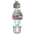 Bulb-dependent jelly jar light fixture for hazardous locations. Rated Class II, Div 1 and 2, Groups E, F, G. Operates at 120/277V AC, 300W, T3C temperature code. Height 10 3/8 in. Suitable for areas with combustible dust such as grain handling or chemical processing.