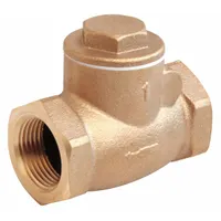 APPROVED VENDOR Swing Check Valve: Swing, Inline Valve Body, 2 in Pipe Size, FNPT x FNPT, Bronze (MPN 10F306)