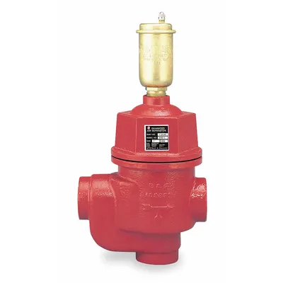 BELL & GOSSETT Air Separator: Cast Iron Body, For Water, 1 1/4 in Female NPT, Vertical - Inline Air Separators with Removable Air Vent Cap