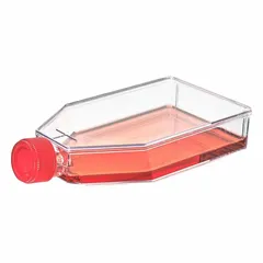 APPROVED VENDOR Plastic Cell Culture Flask, Polystyrene, 125 mL, Sterile, Graduated, with Closure, TC-FLSK-182-P