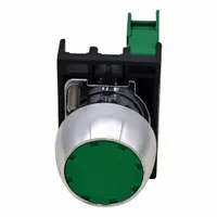 DAYTON Flush Push Button Operator: Non-Illuminated, Flush Profile, Metallic, 22 mm, 1NO (MPN GGS_116332)