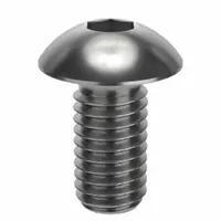 Socket Head Cap Screw: M5x0.80 Thread Size, 10 mm Lg, Button, NL-19, Stainless Steel, 18-8, 100 PK (MPN FBMBHSCAPS510P100)
