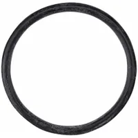 THERMAL DYNAMICS O-Ring: For SL100/SL60 Series, 5 PK (MPN 8-3487)