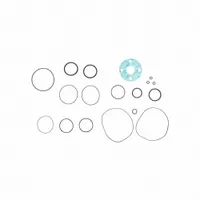 FILL-RITE Viton Seal Kit: Viton Seal Kit, Fill-Rite, (12) O-Rings/Square Seal (MPN SK20VIT-V13)