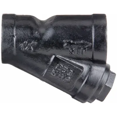 OEM Y Strainer: 2 in - Cast Iron Y Strainers