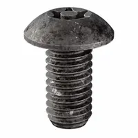 Tamper Resistant Screw: #10-32 Thread Size, 3/8 in Lg, Steel, Black Oxide, Button, 25 PK (MPN 81170)