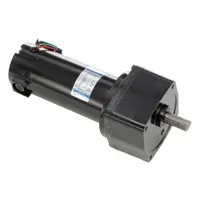 LEESON Parallel Shaft Gearmotors: Parallel, 90V DC, TENV, 21 RPM, 371 in-lb Max Torque, 124:1, 1.1 A (MPN M1135117.00)