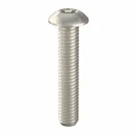 Tamper Resistant Screw: #10-32 Thread Size, 1 in Lg, Stainless Steel, Plain, Button, 25 PK (MPN 91200)