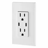 USB Receptacle: Decorator Duplex, 5-15R, USB Type C, White, 125V AC, 15 A (MPN T5635-W)