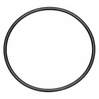 BALDWIN FILTERS O-Ring: Hydraulic Filter, O-Ring, Buna-N, 13/64 in Lg, 5 19/32 in Inside Dia. (MPN G433)
