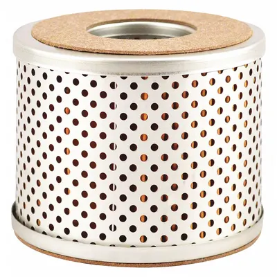 BALDWIN FILTERS Power Steering Filter Element: Power Steering Fluid, 2 13/16 in Overall Ht - Cartridge Power Steering Filters
