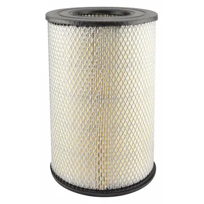 BALDWIN FILTERS PA3894 Round/Oval Engine Air Filter - Round/Oval Engine Air Filters