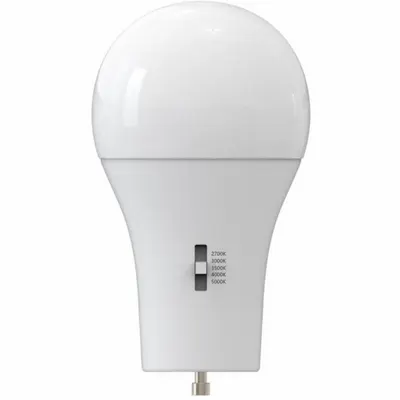 MAXLITE Light Bulb: 2-Pin (GU24), LED, (A) Classic, A19, 12 W Watt, 1,100 lm Light Output - 2-Pin Base (GU24) Lamps