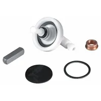 BRADLEY Foot Valve Repair Kit: Plastic (MPN S65-001A)