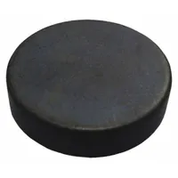 STORCH PRODUCTS Rare Earth Magnet: Neodymium, 1 in Outside Dia, 0.25 in Thick, Disc Magnet, 30 (MPN B002-6035-030)