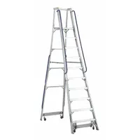 LOUISVILLE LADDER Platform Stepladder: 10 ft Ladder Size, Aluminum, 300 lb Load Capacity, 82 lb Wt (MPN AP5010)