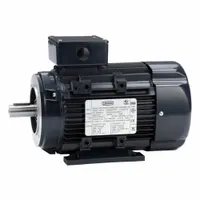 LEESON Metric Motor: 2 hp, C-Face/Rigid Base Mount, 90L Frame Size, Totally Enclosed Fan Cooled (MPN 090LT17FH6419)