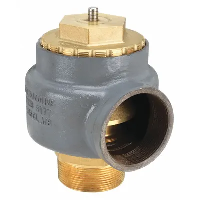 KUNKLE VALVE 3 in x 3 in Cast Iron ASME Section IV Steam - ASME Section IV Steam Pressure Relief Valves