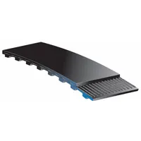 GATES Timing Belt: One Side, PowerGrip®, 0.2 in Pitch, 1/4 in Top Wd, 262XL025, 131 Teeth, Neoprene