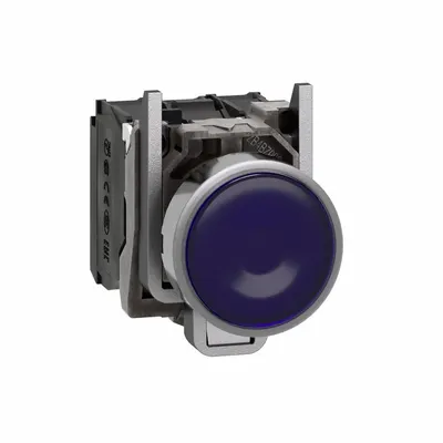 SCHNEIDER Illuminated Push Button: Illuminated, Flush Profile, Metallic, 22 mm - Illuminated Flush-Mount Push Buttons